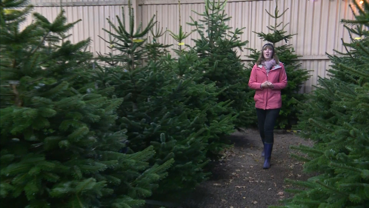12.03 - 18.00.00 - ITV News London. The latest news in London and the....ts_snapshot_02.52.129
