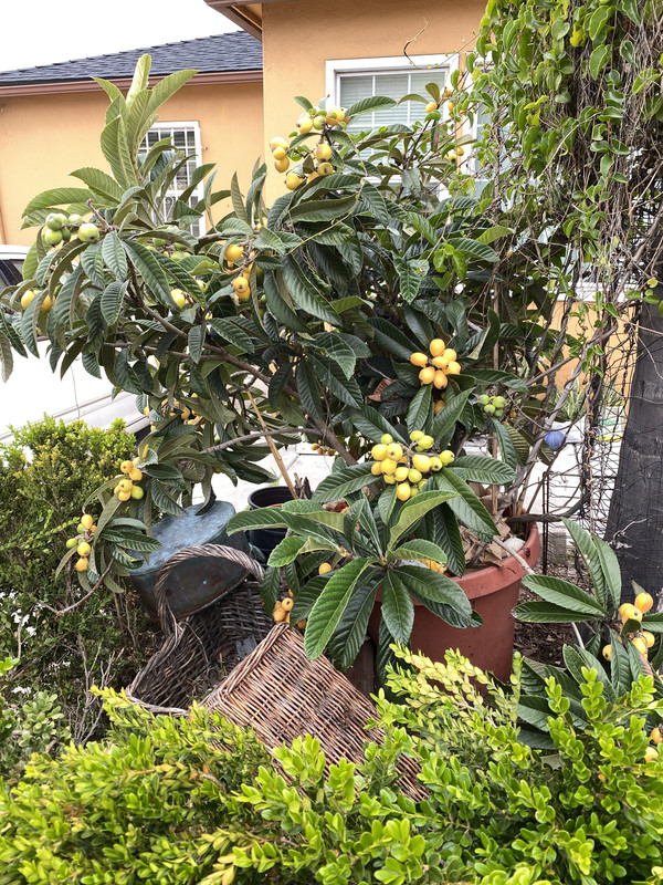 9E784C1F-FED6-4A8C-BD7C-F435526CE2EA