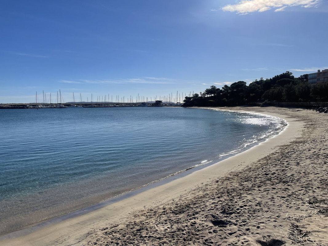 F7898B64-3807-4A74-BBB6-522C4F23BD5A