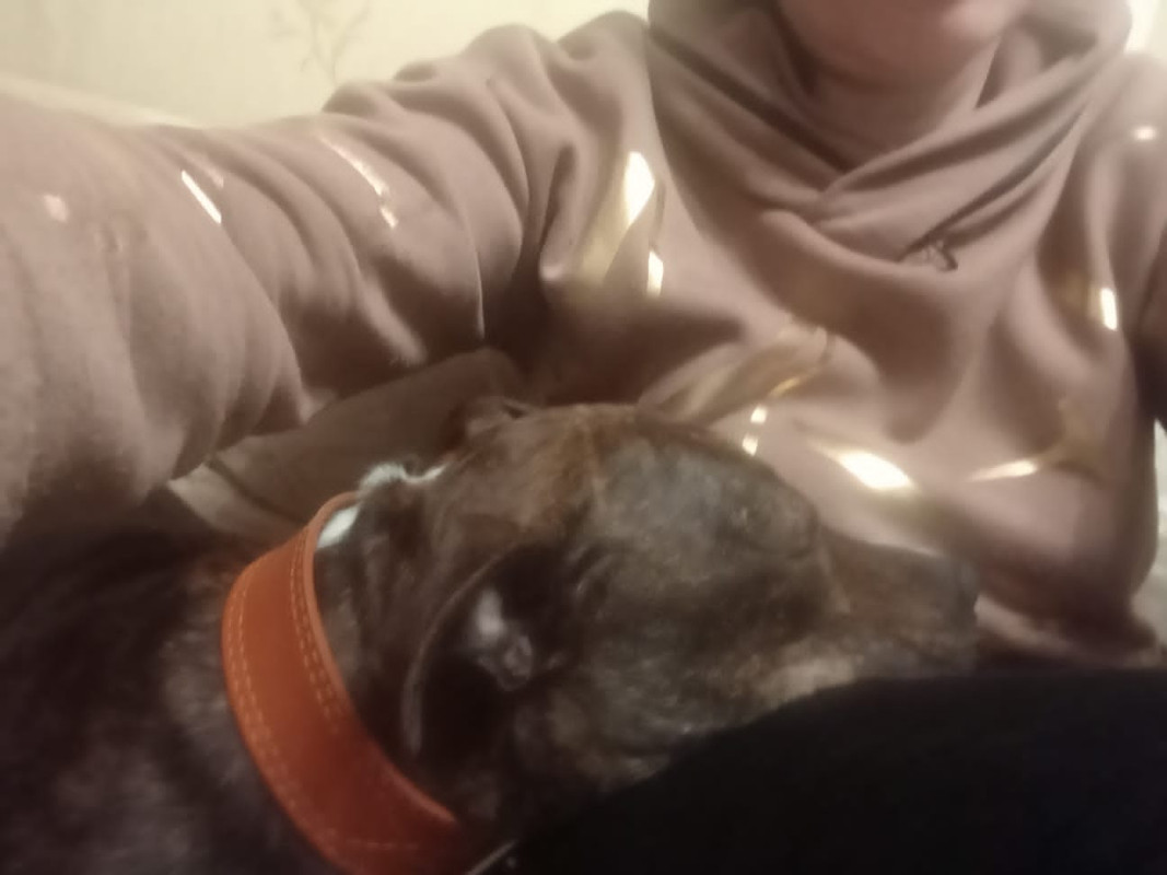 6E161E41-C8EB-4EB0-875B-098590B5BD43