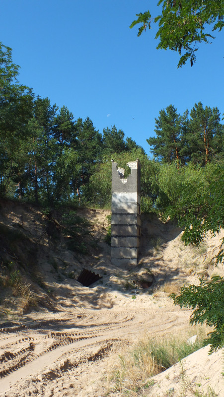 DSCF8795