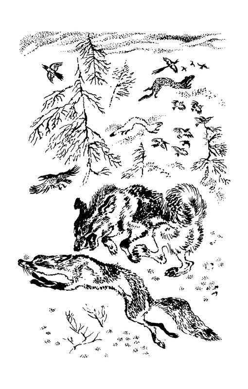 1993-page-0215
