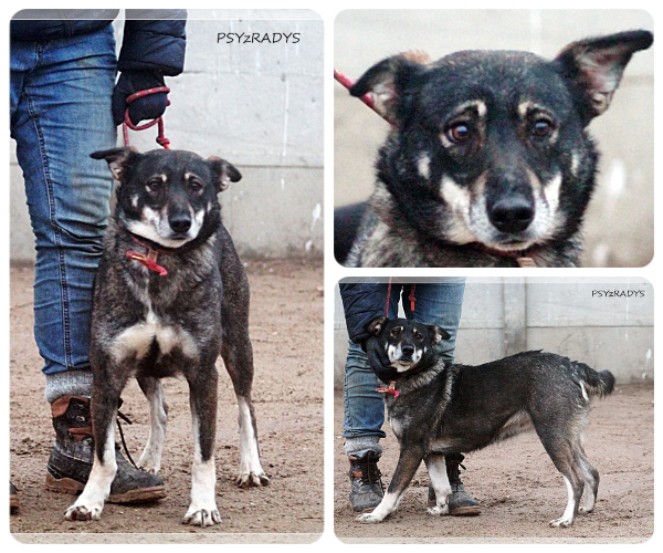 BeFunky-collage (22)