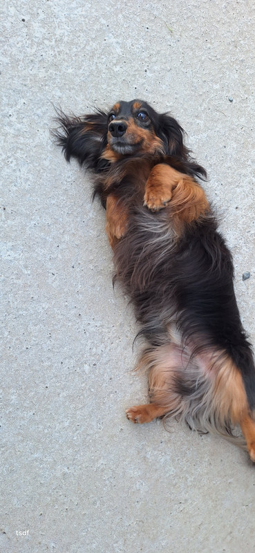 [Image: 20250510-194722.jpg]