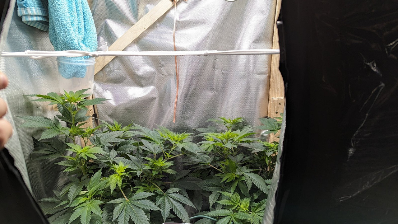 IMG_20240430_221735_(3000_x_1688_piksel)