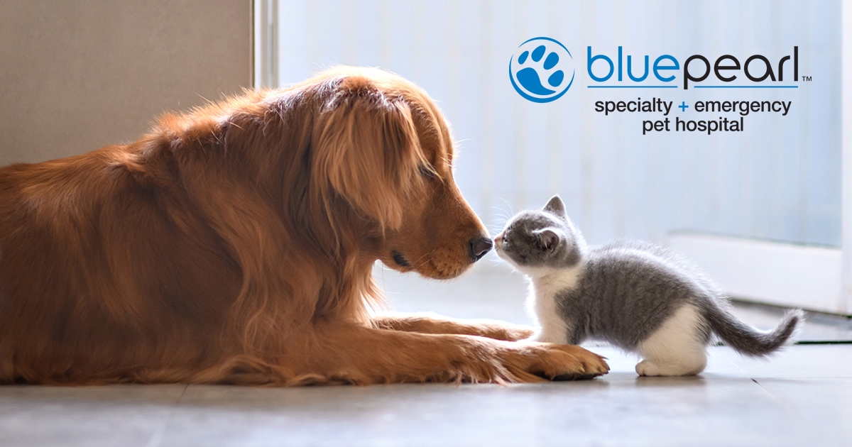 bluepearl veterinary