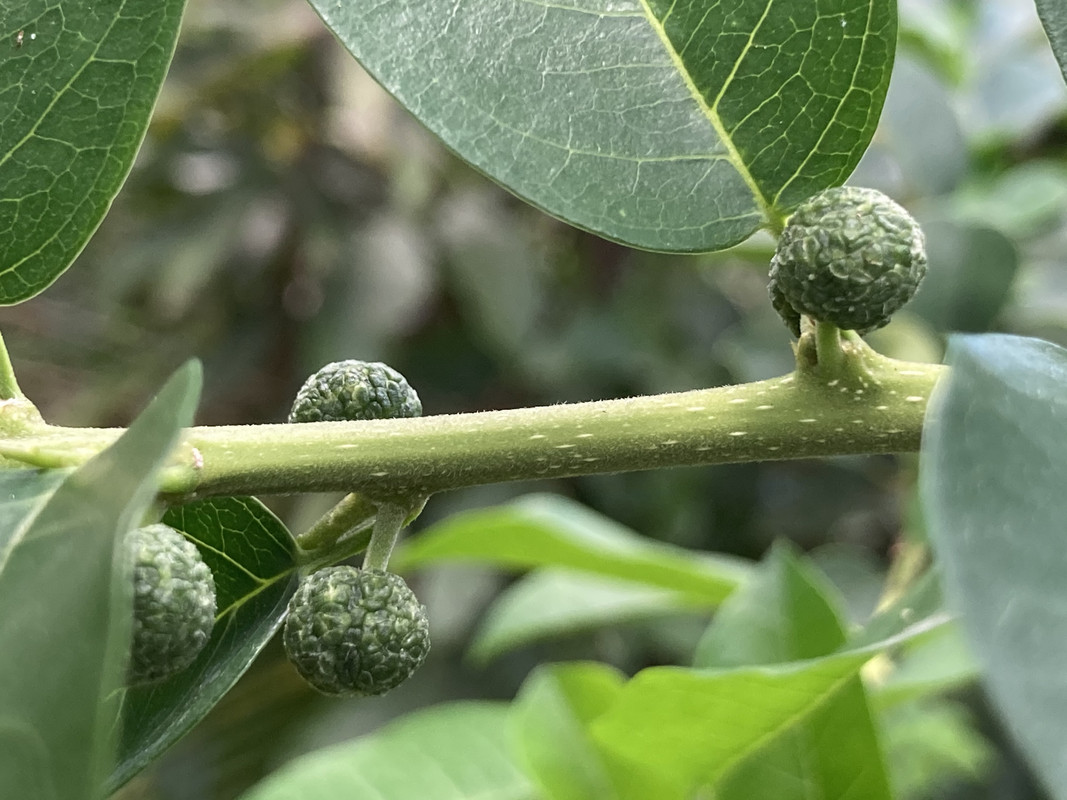 86C81B26-502F-4D84-A361-C9A63F35B3EE