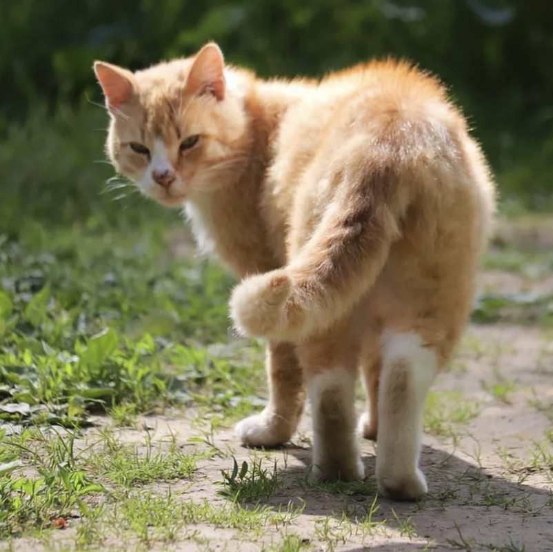 07119E1B-736A-448A-98B6-3D50540E85A5