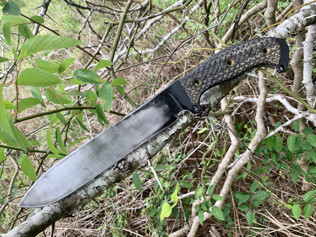 3F465206-23F8-447C-9C6F-85E1B40F47A6