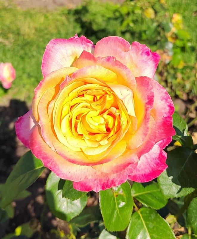 https://i.postimg.cc/RZ5nptfw/054-IMG-20240918-121508-edit-282146534618514.jpg