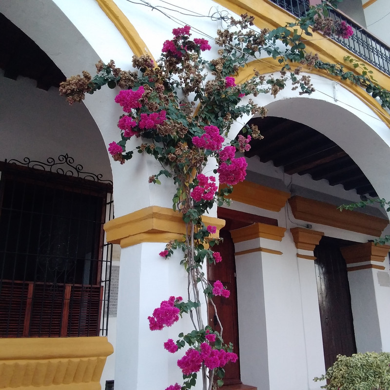 Зимовка 2026, полтора месяца в Колумбии.