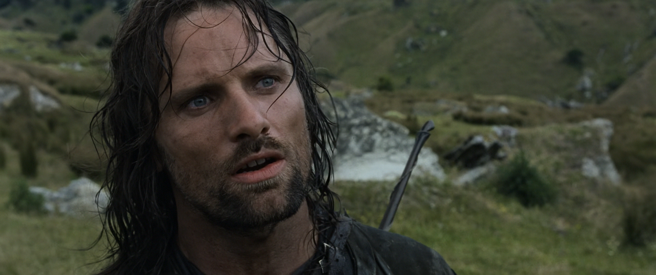 The Lord of the Rings The Fellowship of the Ring (2001) EXTENDED (1080p Bluray AV1 Opus) [NeoNyx343]