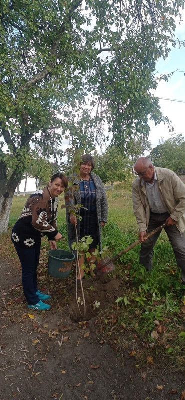 изображение_viber_2023-10-05_13-08-35-361