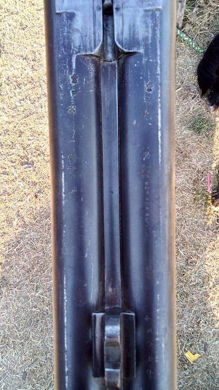 IMG_20200731_093743_HDR