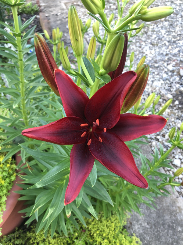 06914553-DD55-4148-8D07-8F76A1B64F12