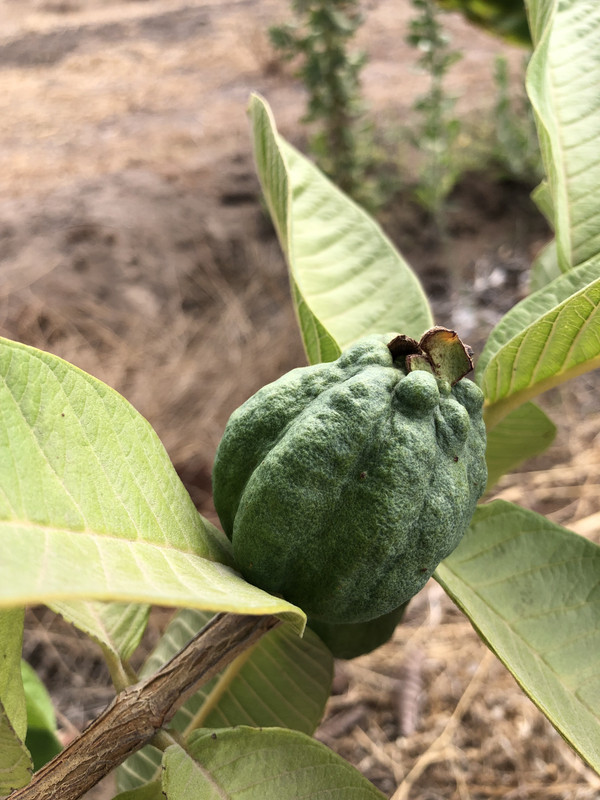 E3E10759-86FE-47A5-8E55-0C085D2BCC2C