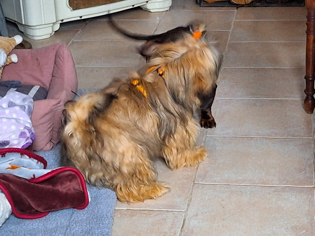 [Image: 20240103-131401.jpg]