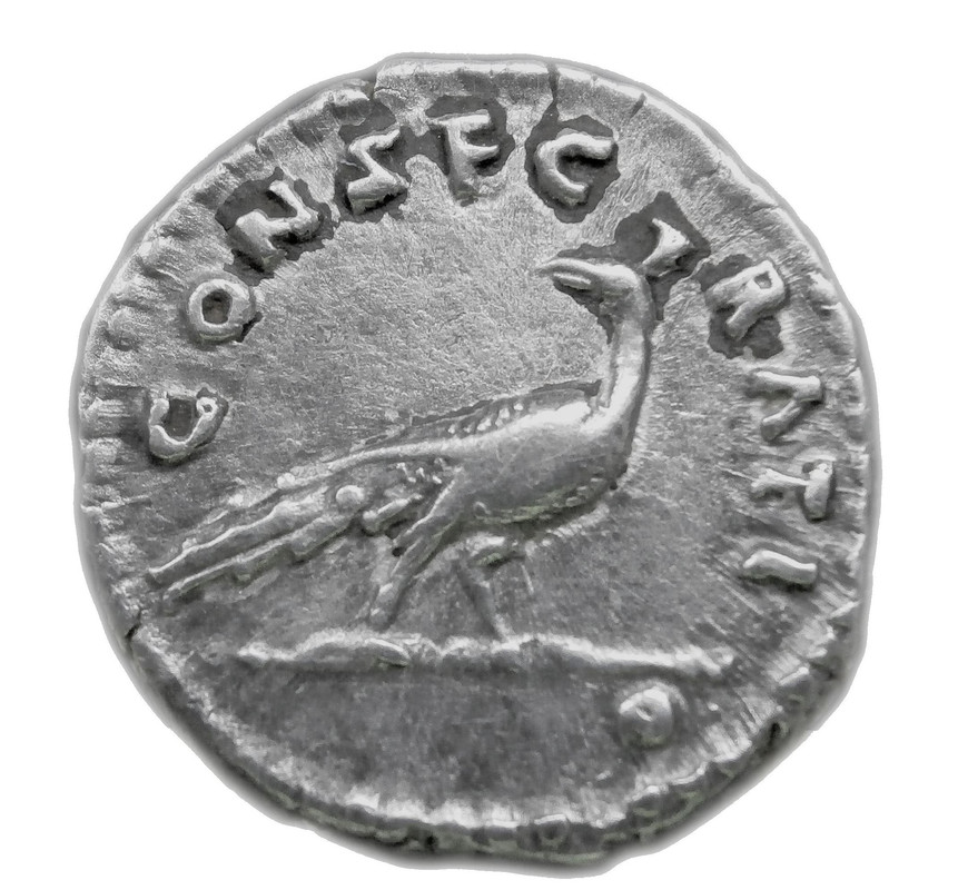 Denario de Septimivs Severvs. CONSECRATIO. Águila sobre orbe. Roma. Faustina-pioc-revers