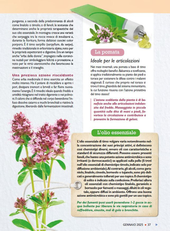 Sal Nat  Gen 2025 (4)