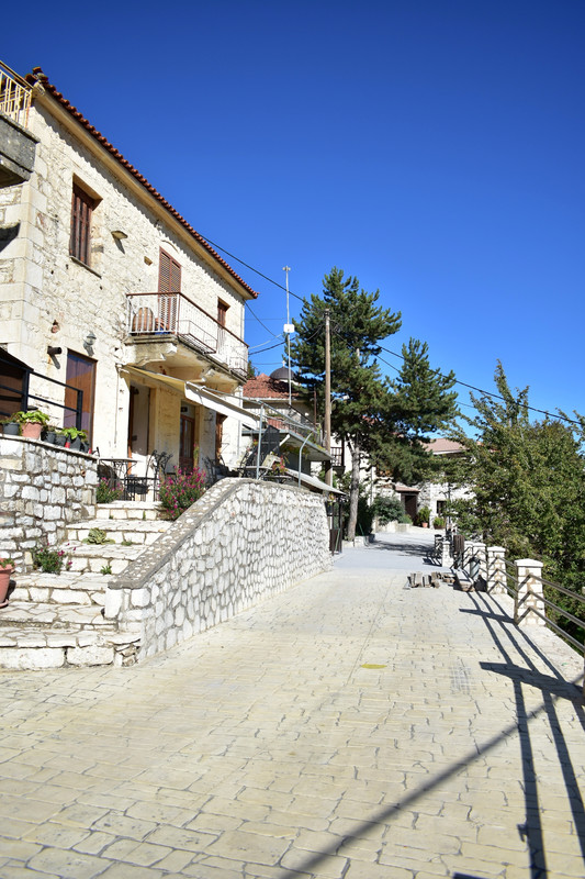 Άνω Δολιανά (22)