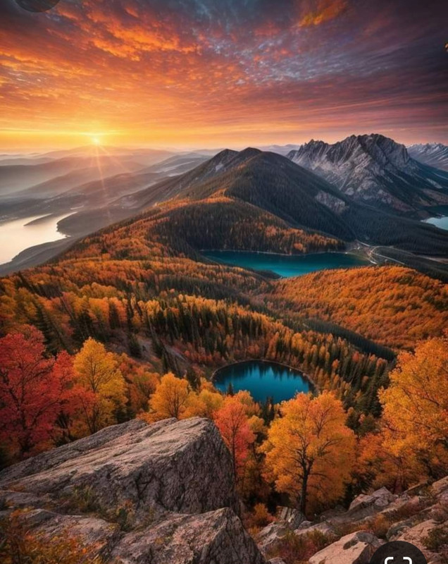 Screenshot_20240218_210650_Pinterest