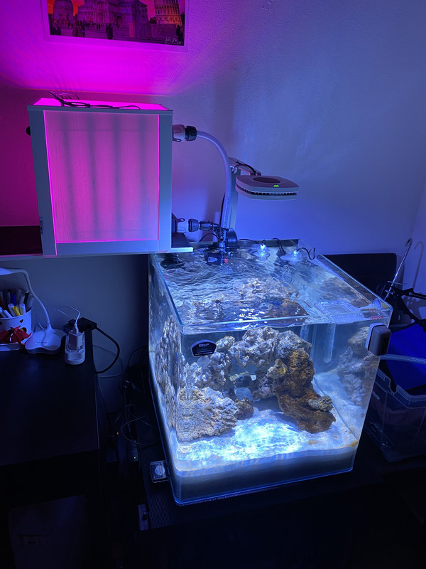 EA528897-8714-4AA7-AA47-4EF492944A8B