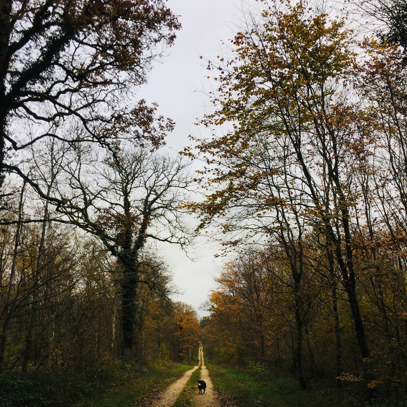 75A32FA2-4741-4EE9-A3EB-72354EA1D780