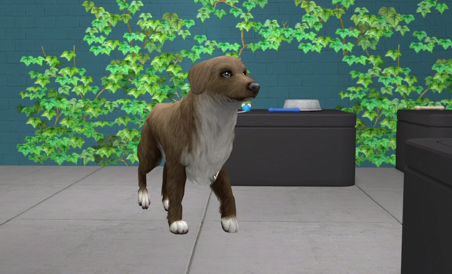 Sims2-EP9-2021-03-25-21-21-27-60