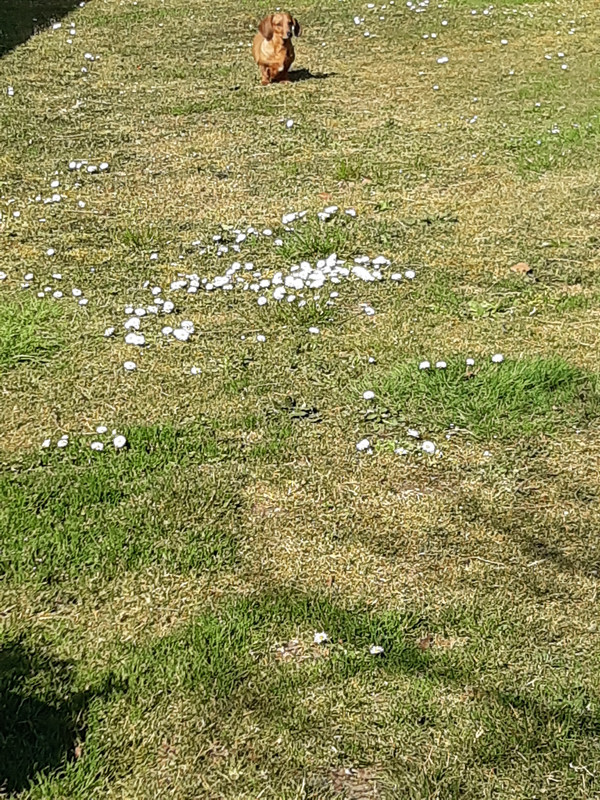 [Image: 20220324-151003.jpg]