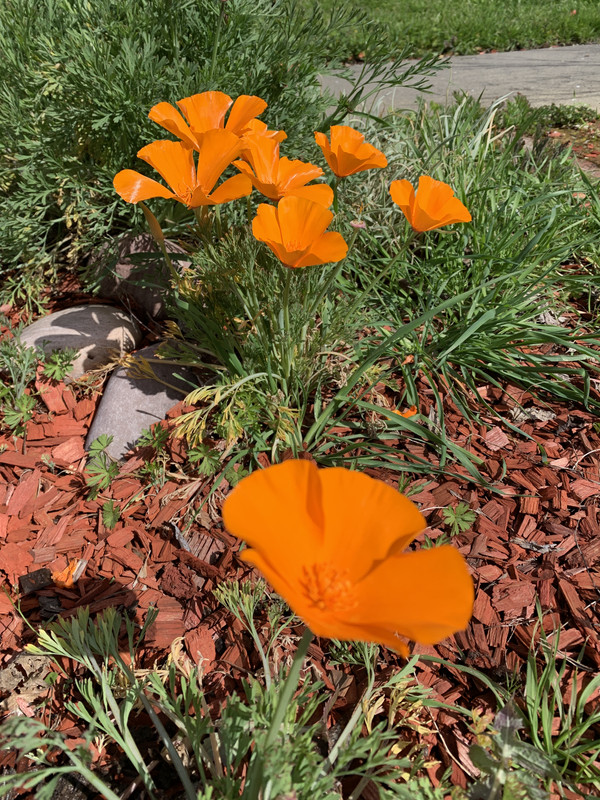 FF7B9731-D510-4D78-8B49-1F114EAC9D30