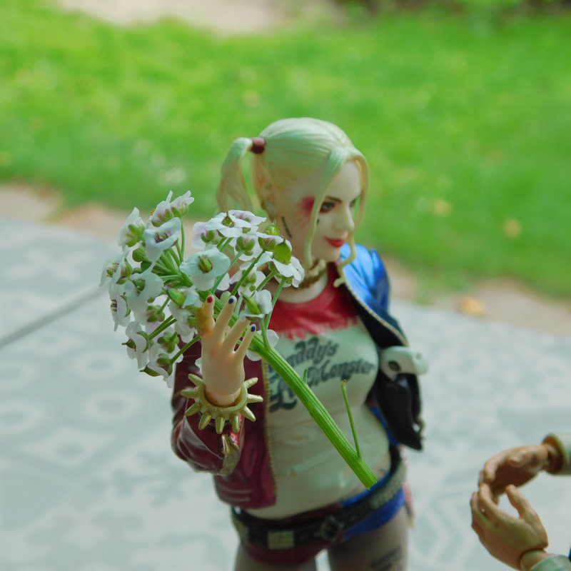 Дачное Маттел к Хелл 2025, Харли и Ко продолжение 315