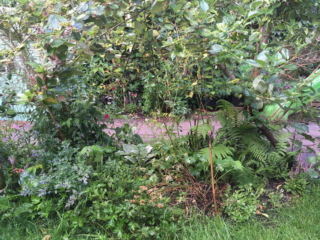 491E081F-D852-4088-8BD4-8FEE00F8E33D