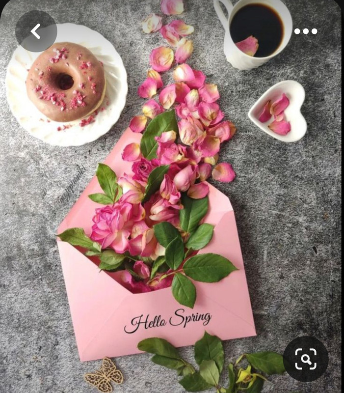 Screenshot_20230731_233636_Pinterest