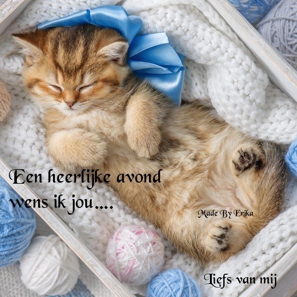 HTML leren
