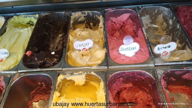 Huertasurbanas_com-Helado_IMG_20211230_130655230.jpg-20211230_140944ubajay