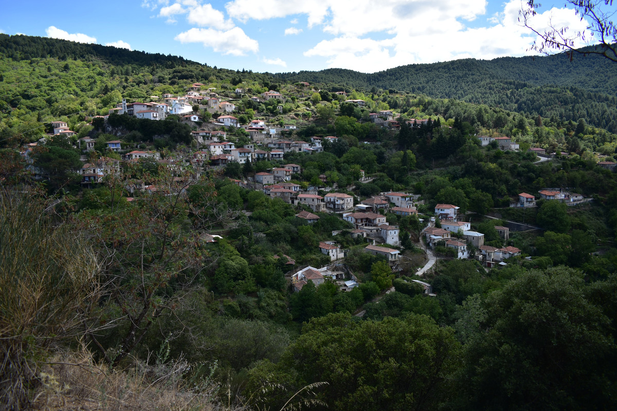 Βαμβακού (2)