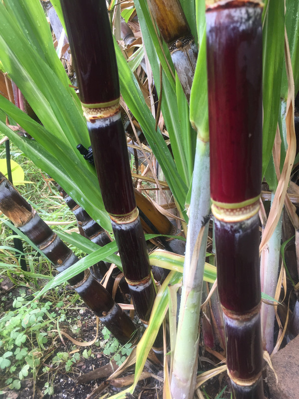 1EC0D21F-042E-4C7F-97C3-4D46D41A9A2C