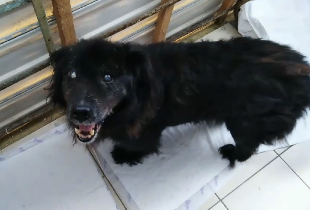 9CB7C20F-C1FE-4C1A-8AE9-1096C4D540E4