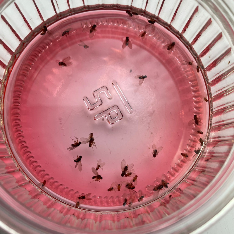 a6d4082a aa46 49d7 bcf9 10e3ce414ae1