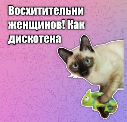 2023-09-01-115511.jpg