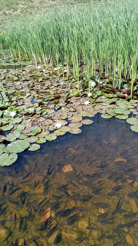 440523844_1229841641676806_3297809961428033956_n