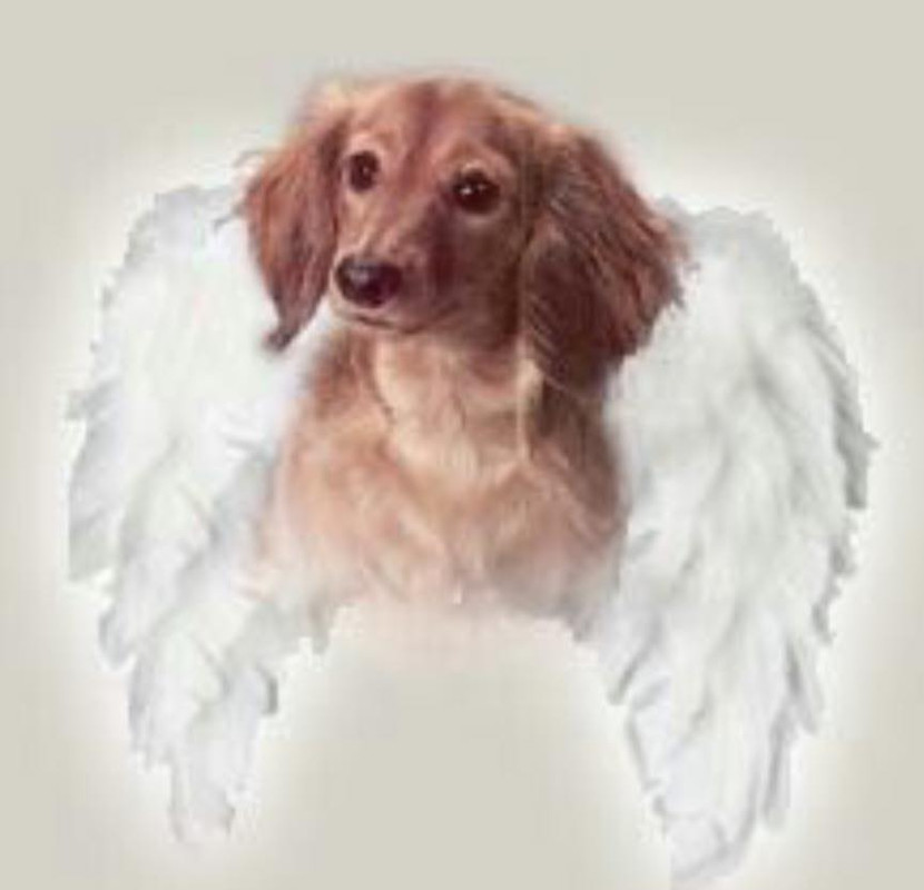 [Image: 29510827-837256209794492-1835757670175585147-n.jpg]