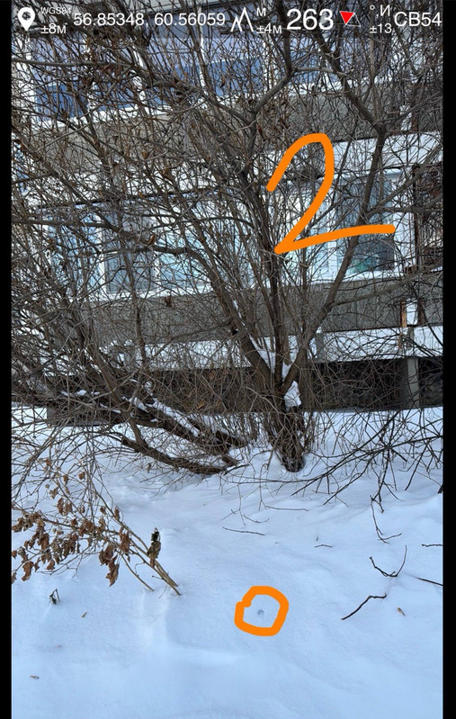 photo 3 2026 02 06 11 22 23