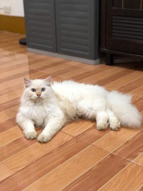 24EDC836-16D9-4416-9843-BA55AF8289EB