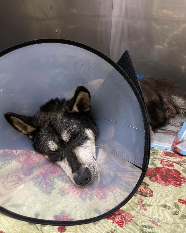 B59CEB5E-C5A3-4859-8CB2-055D7655973E