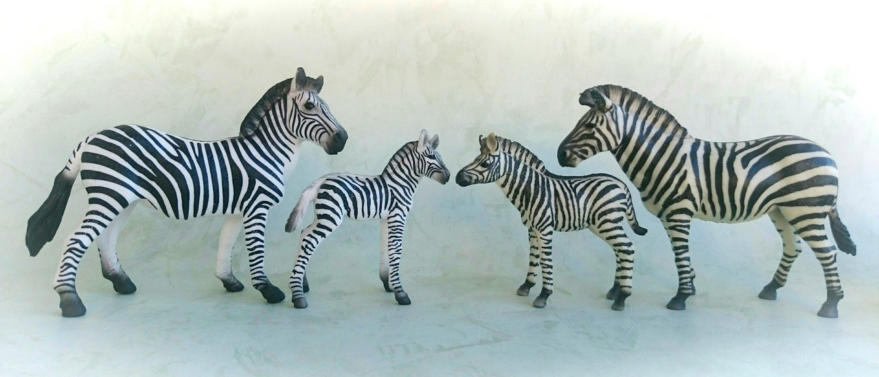 Mojo 2020 - Zebra and foal 20200627-132046