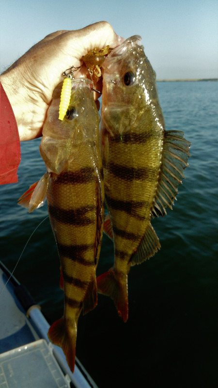 DSC_0953 — копия