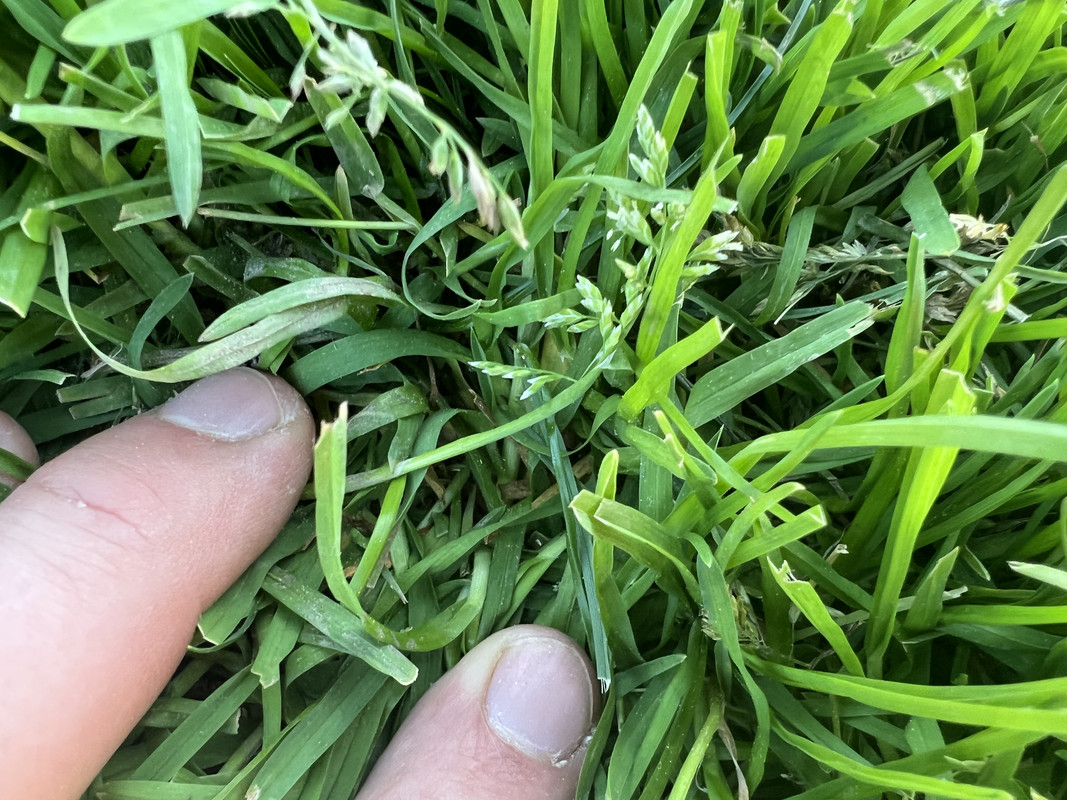 30F5AE23-EF62-4F3C-983E-9DFD8B374428