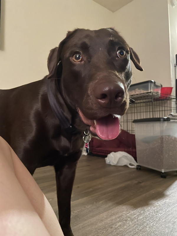 48FCB501-3664-4922-8B78-4DA2871ED3D8