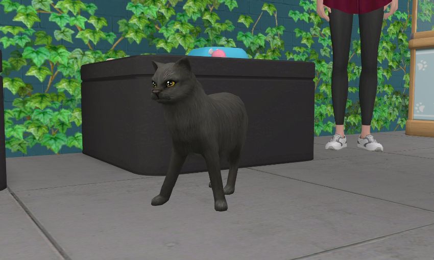 Sims2-EP9-2021-01-15-10-12-36-80